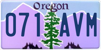 OR license plate 071AVM