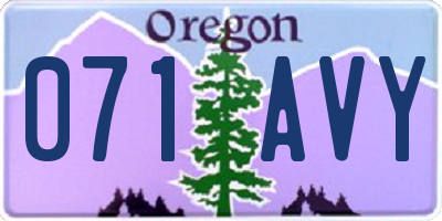 OR license plate 071AVY