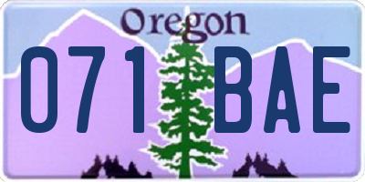 OR license plate 071BAE