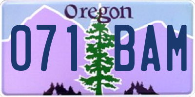 OR license plate 071BAM