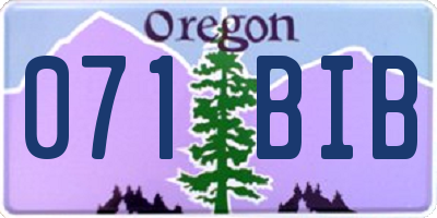 OR license plate 071BIB