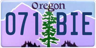 OR license plate 071BIE