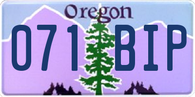 OR license plate 071BIP