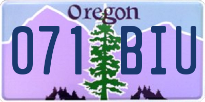 OR license plate 071BIU