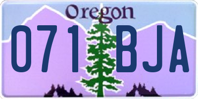 OR license plate 071BJA