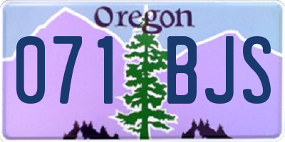 OR license plate 071BJS