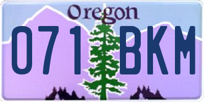 OR license plate 071BKM