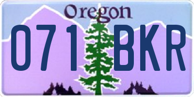 OR license plate 071BKR