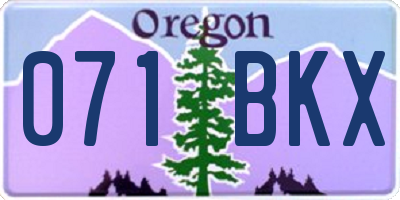 OR license plate 071BKX