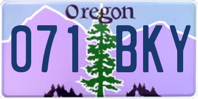 OR license plate 071BKY
