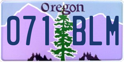 OR license plate 071BLM