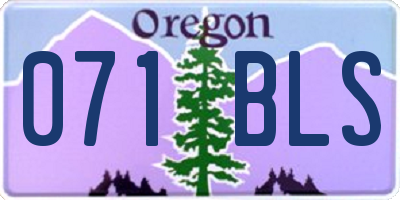 OR license plate 071BLS