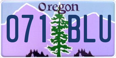 OR license plate 071BLU