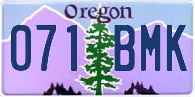 OR license plate 071BMK