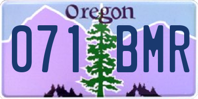 OR license plate 071BMR