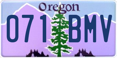 OR license plate 071BMV