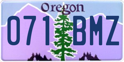 OR license plate 071BMZ
