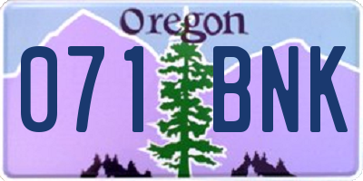 OR license plate 071BNK