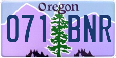 OR license plate 071BNR