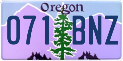 OR license plate 071BNZ