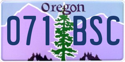 OR license plate 071BSC