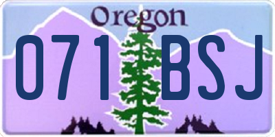OR license plate 071BSJ