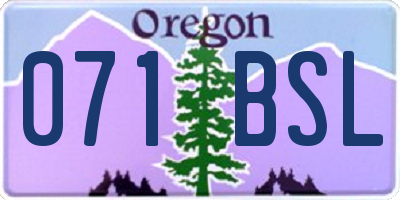 OR license plate 071BSL
