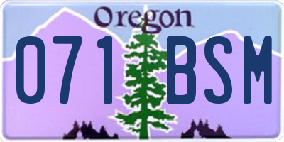 OR license plate 071BSM