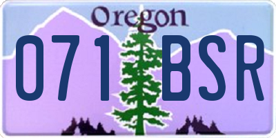 OR license plate 071BSR