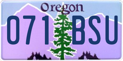 OR license plate 071BSU