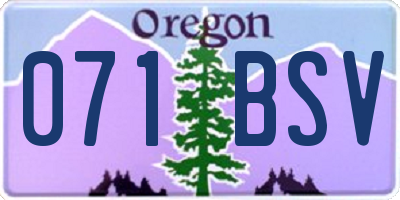 OR license plate 071BSV