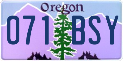OR license plate 071BSY