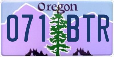 OR license plate 071BTR