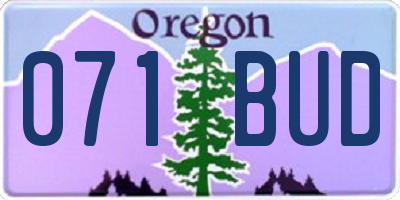 OR license plate 071BUD
