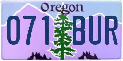 OR license plate 071BUR