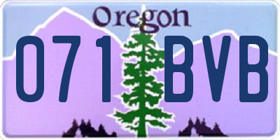 OR license plate 071BVB