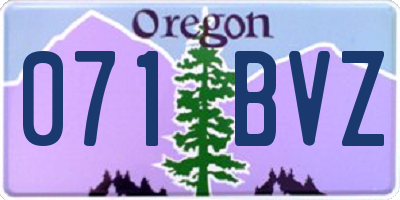 OR license plate 071BVZ