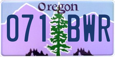 OR license plate 071BWR