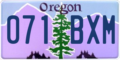 OR license plate 071BXM