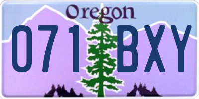 OR license plate 071BXY