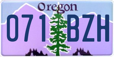 OR license plate 071BZH