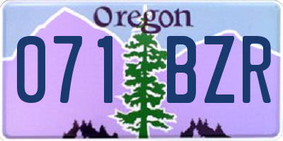 OR license plate 071BZR