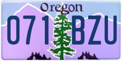 OR license plate 071BZU