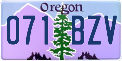 OR license plate 071BZV