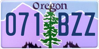 OR license plate 071BZZ
