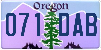OR license plate 071DAB