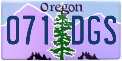 OR license plate 071DGS