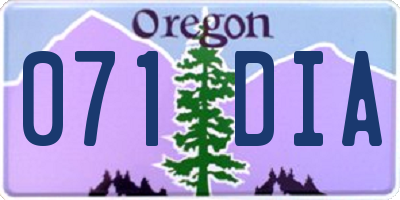 OR license plate 071DIA