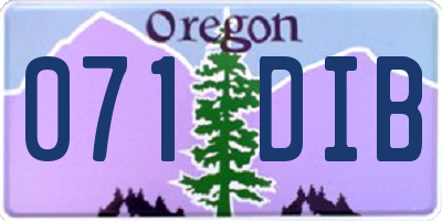 OR license plate 071DIB