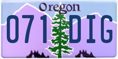 OR license plate 071DIG
